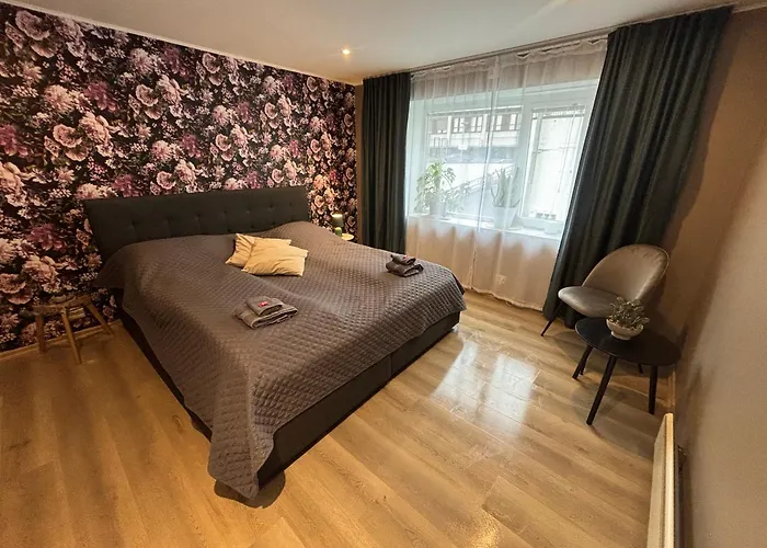 3 Rooms Apartment In Center